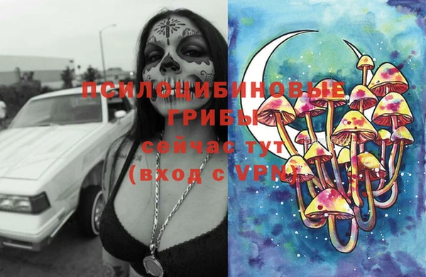 кокс Алзамай