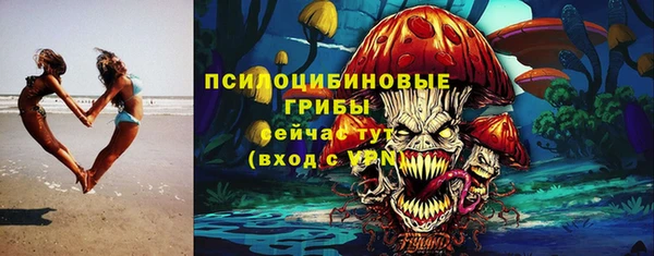 spice Абинск