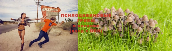 амф Алексин
