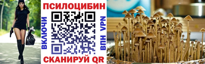 нарко площадка официальный сайт  Нолинск  Галлюциногенные грибы GOLDEN TEACHER  купить закладку 