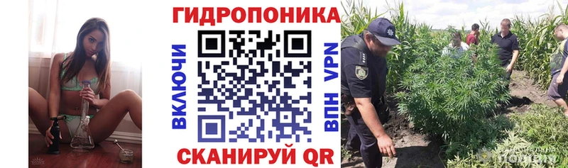 Бошки марихуана AK-47  где можно купить   Нолинск 